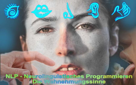 Therapeutisches NLP - Neurolinguistisches Programmieren - Praxis für Laserohrakupunktur und Veränderungscoaching - www.laser-ohr-akupunktur.ch